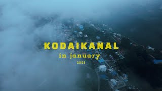 Kodaikanal in January | 2025 | New year | AR Rahman theme | Tamilnadu Tourism | Travel | Explore |