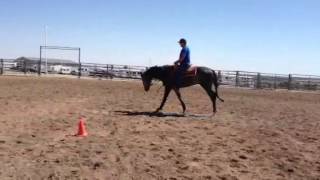 Allocate your assets 2 yr old grey