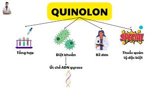 Kháng sinh nhóm quinolon (ciprofloxacin, ofloxacin, levofloxacin)-Dược lý kháng sinh | Trung Pharma