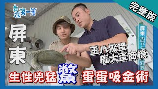 屏東【海岸林陸蟹釋卵 封陸護蟹 / 鱉蛋商機 /】│2017.10.17│《台灣第一等》227集完整版