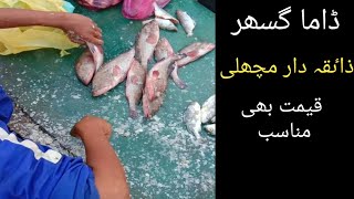 fish market karachi/ Dama Gissar fish cutting skill/vlog and taste