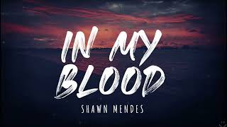 Shawn Mendes - In My Blood (Lyrics) 1 Hour
