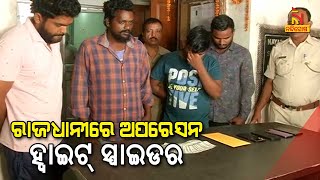 ରାଜଧାନୀରେ ଅପରେସନ ହ୍ବାଇଟ ସ୍ପାଇଡର | NandighoshaTV