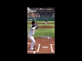 ひたすらバットが折れる動画を集めてみた！【第2弾は概要欄へ】【プロ野球スピリッツa】