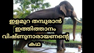 ഇത്തിത്താനം വിഷ്ണുനാരായണന്റെ കഥ, ITHITHANAM VISHNUNARAYANAN STORY, KERALA ELEPHANT STORY,