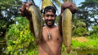 আজ বাড়ির পুরনো পুকুর থেকে পাইপ তুলে,শিং মাছ আর মাগুর মাছ ধরলাম!!!