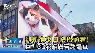 到新宿東口快抬頭看! 巨型3D花貓廣告超逼真｜十點不一樣20210709