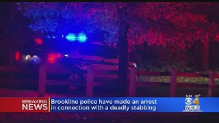 Police Make Arrest In Stabbing At Brookline Park