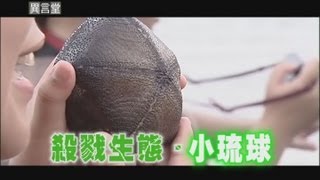 2012.09.15【民視異言堂】殺戮生態．小琉球