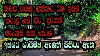 නිවස සමග අක්කර 5ක වටිනා ඉඩම අඩුවට/#අඩුවට ඉඩම්/#aduwataidam