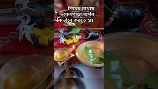 বাবা মহাদেবের মাথায় বেলপাতা নিবেদনের সময় এই মন্ত্রটি বলুন #shiv #ytshorts #mahadev #shortsvideo