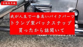 バックステップ買ったよTramp製でぶちアガる【HD XLH883】