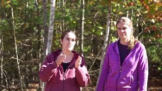 Outdoor Learning Series Episode 2: Short, Simple, Structured Activities