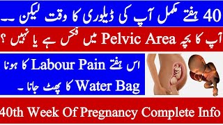 40th  Week Of Pregnancy || 40 Week Pregnant || Hamal Ka 40 Hafta || حمل کا 40 واں ہفتہ ||