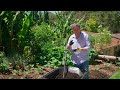 The Garden Gurus - Improving Your Garden Plants by Improving Your Soil Health