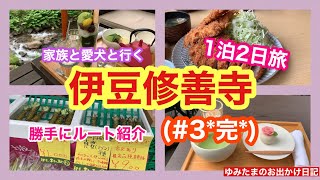 【伊豆修善寺1泊2日の旅】(#3“完”) #美味しくてボリューム満点のトンカツ#映えすぎるカフェ#道の駅伊豆月ケ瀬#伊豆旅行#修善寺旅行#家族旅行#わんことお出かけ#伊豆グルメ#旅行vlog#旅行記録