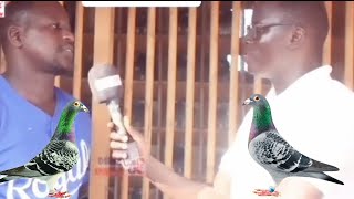 éleveur de pigeons voyageur est spécial colombophile 2022 de sénégal