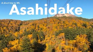 【Vlog】「日本で1番早い紅葉🍁」大雪山旭岳の紅葉と夕日を見に行った日！⛰️🌅散策コースをハイキング！【大雪山旭岳ロープウェイ】