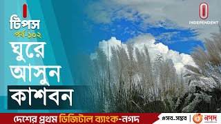 ঢাকার ভেতরেই কোথায় পাবেন কাশবনের সন্ধান? | Autumn In Dhaka | Kashful | I-tips | Independent TV