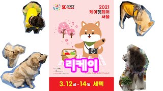 2021케이펫페어서울 1전시장 - 리케이