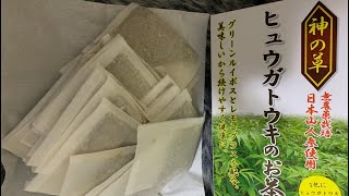 神の草ヒュウガトウキのお茶