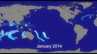 No hurricane has ever crossed the equator