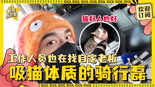 [Multi Sub]魂穿这只被#吴磊 喊宝贝的小猫 笑崩溃了！磊磊的工作人员视角比偷拍更像偷拍#爱豆星日常