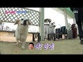 수식어가 부족한 레전드 박재홍의 등장 ‘리틀 쿠바’ @불타는 청춘 100회 20170404