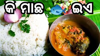 ଜେଜେ ଆଜି ପୋଖରୀ ରୁ କି ମାଛ🐟ଧରିକି ଆଣିଲେ।।FISH CURRY।।❤️😍🤤।।FISHING 🎣 IN RIVER।।#cooking #recipe #fish