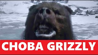 СНОВА GRIZZLY