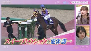 【絶品の末脚】スイープトウショウ＆池添謙一｜競馬好き女子会 ＃1「推し騎手」