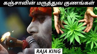 கஞ்சாவின் மருத்துவ குணங்கள் | Medicinal uses of cannabis/Weed | Explained in Tamil |Raja King