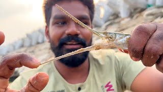 ഇതു എന്ത് മീനാണാവോ  | castnet fishing | village fishing | fishing videos AR Brothers #fishing