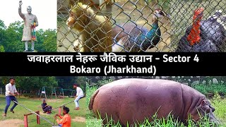 Bokaro Zoo || Jawaharlal Nehru Park Bokaro || Bokaro Steel City Zoo Park || Bokaro Zoo Park🔥