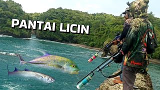 hajar terus paser ikan laut SEPOT ISTIMEWA PANTAI LICIN MALANG