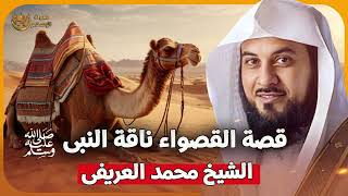 الشيخ محمد العريفي 🎙️ قصة القصواء 🐪 ناقة النبي ﷺ ✨