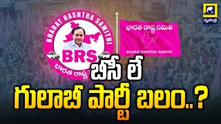 బీసీ లే గులాబీ పార్టీ బలం..? BRS Political Strategies | KCR | Swatantra Telugu News