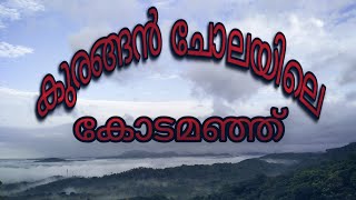 കുരങ്ങൻ ചോലയിലെ കോടമഞ്ഞ്