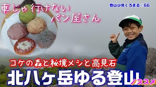 【ゆる登山】北八ヶ岳ゆる登山！マイナスイオンたっぷりの苔の森を抜け片道約１時間歩き車で行けないパン屋さん（山小屋）を目指す旅♪（丸山＆高見石登頂）