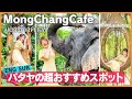 Pattaya MongChangCafe ❘ play with elephants