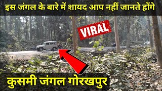 Kushmi Jungle Gorakhpur || कुसमी जंगल गोरखपुर || Kusmhi Jungle (कुसम्ही जंगल) #gorakhpur #forest