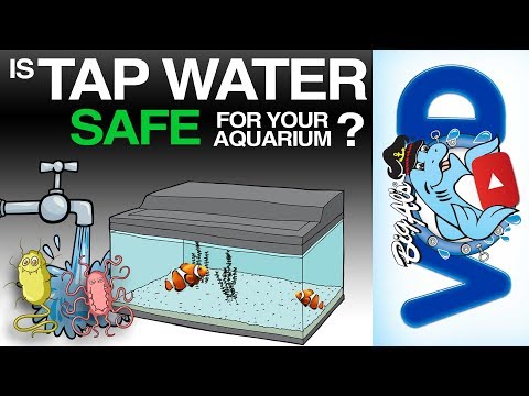 Is UK tap water safe for fish?