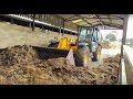 Mucking Out The Cow Sheds On The Farm With A JCB!