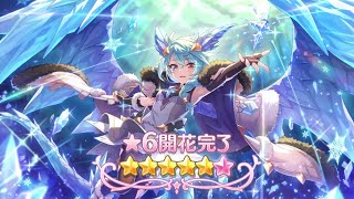 【プリコネR】シェフィ 星6 解放クエスト【絶対零度】