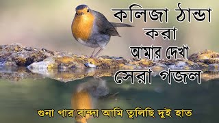 গুনাহগার বান্দা আমি তুলেছি দু হাত। Gunahgar Banda | Bangla gojol 2021 new