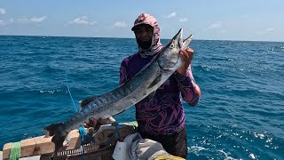 (Guerreiros Do Mar) PREPARE-SE PARA ASSISTIR UM VERDADEIRO SHOW DE PESCARIA RAIZ COM PEIXES GRANDES