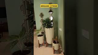 BRIGADE CITRINE New Launch Project In Bengaluru 1,2,3 \u0026 4 BHK apartments