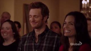 Halstead brothers