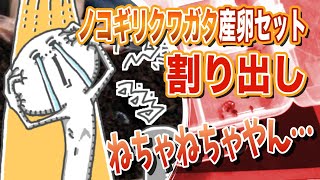 【美味し〜い♪幼虫飼育】ノコギリクワガタの産卵セット割り出したらマットが粘土だった。。。【コレハヤッチマッタ】