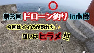 第三回ドローン釣り 今回はなんと！2匹😎 ヒラメは釣れたのか？ 北海道釣り DRONE 小樽釣り